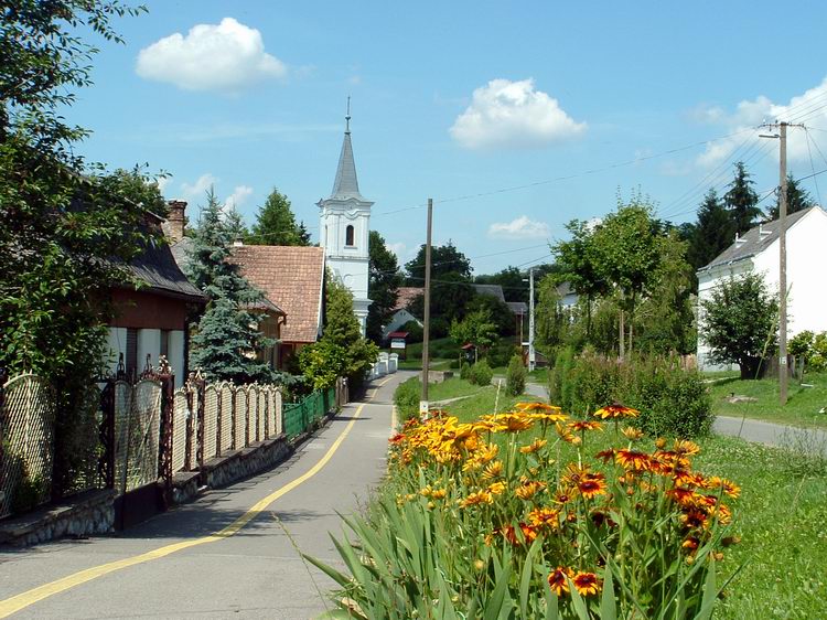 Zselickisfalud - A főutcán