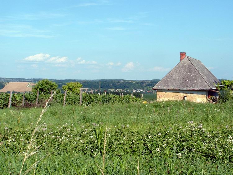 A Patca feletti tanyák között - A távolban még mindig Zselickisfalud látszik