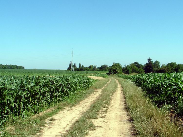 Mezőkön keresztül Kaposmérő felé