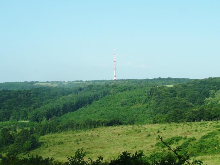 Kilátás a szomszédos dombgerincen álló TV-toronyra