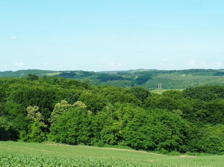 Szép volt a kilátás a Borsfa és Kistolmács közötti gerincről. Ezeket a dombokat már megmásztam!