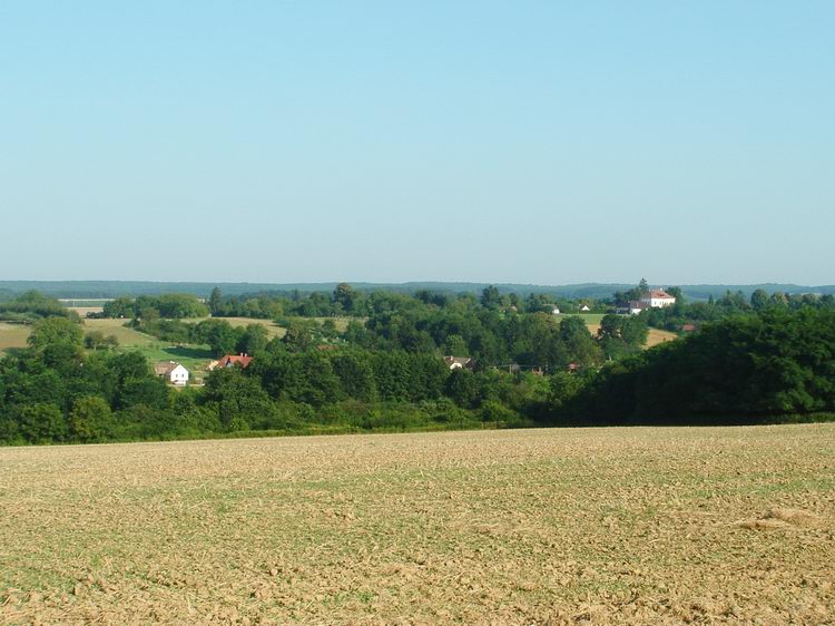 Kilátás a mezőkről Szentkozmadombjára