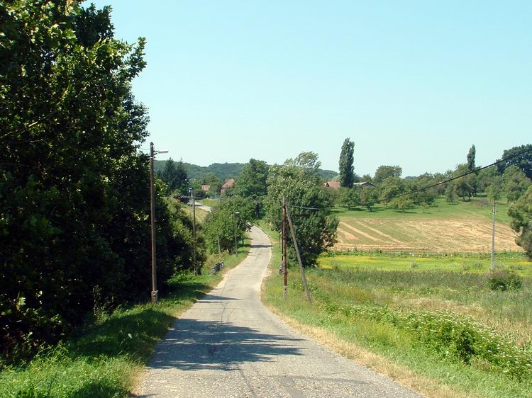 A Petrikeresztúr és Győrfiszeg közötti ereszkedés a Cserta-patak völgyébe