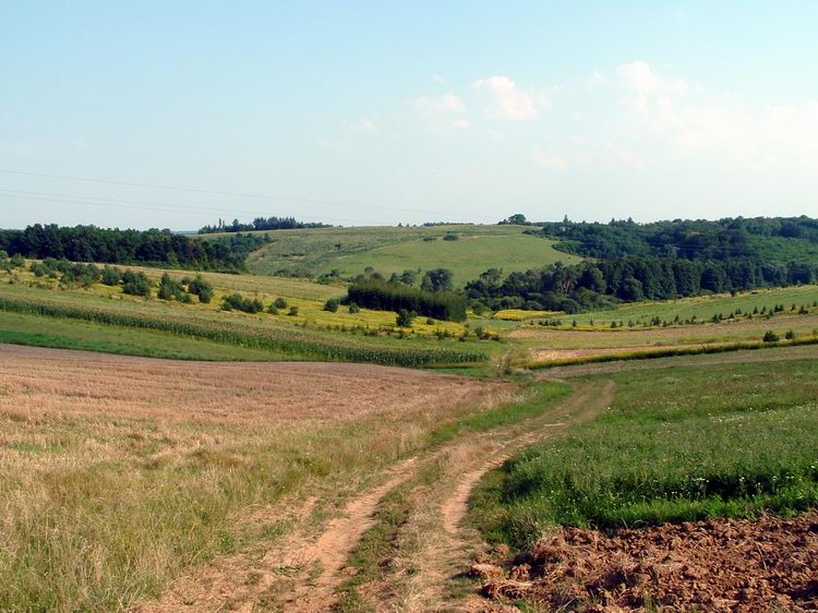 Kilátás a domboldalból Kustánszeg felé kapaszkodva