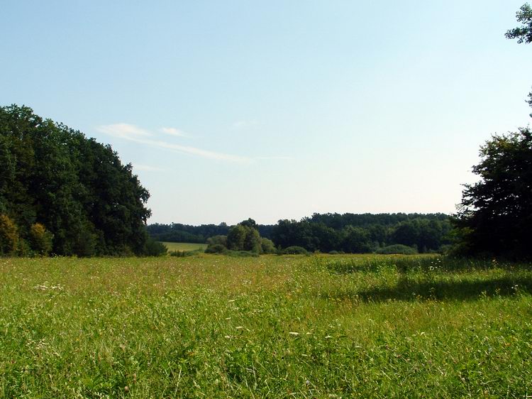 Kaszáló az őrségi dombok között