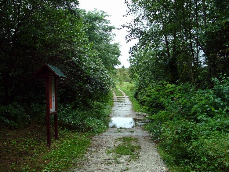 Átkelés a Kerca-patak gázlóján Kercaszomor előtt