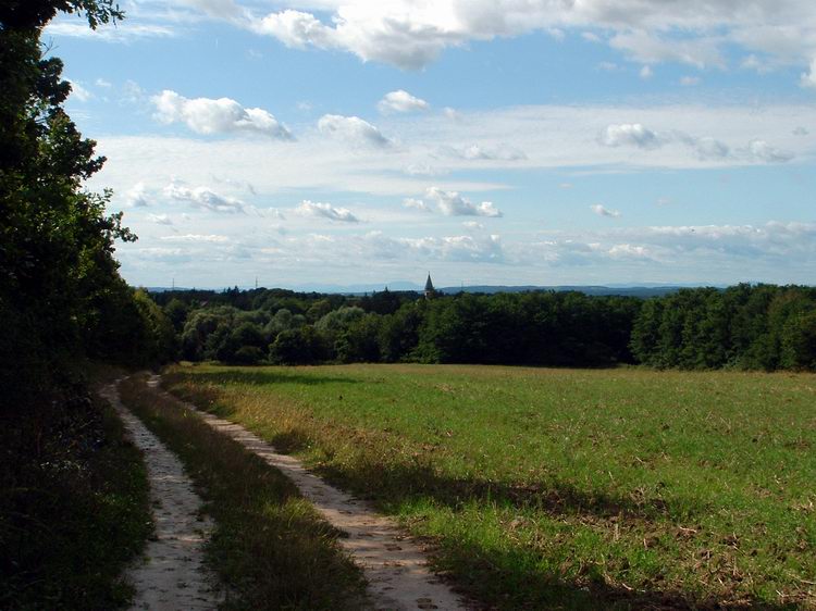 A dombgerincről még a távoli Alpok csúcsai is feltűntek!