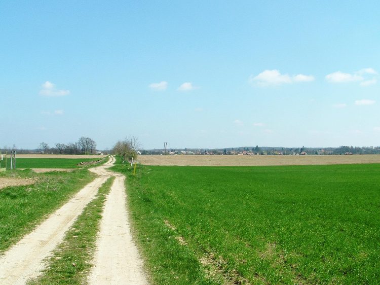 A Nádasd és Katafa közötti mezőkön egy földúton vágtam át. A távolban már láthatóak Katafa házai.