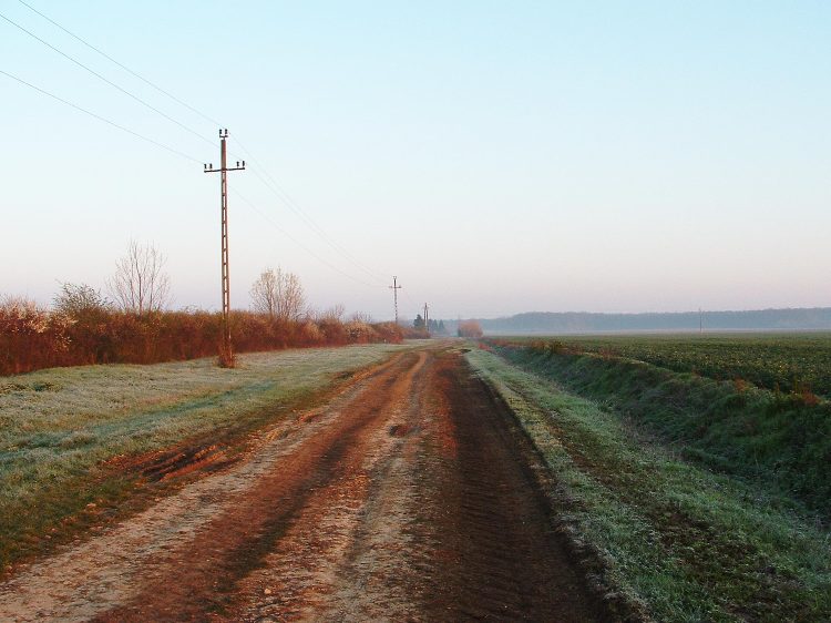 Kora reggel a deres mezőkön átvágó földúton