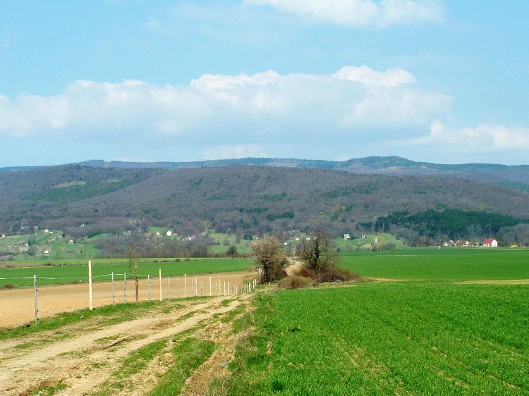 Bozsok és az Írott-kő látképe az erdőszélről