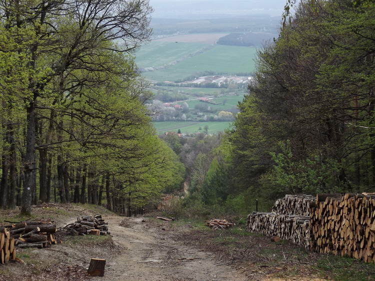 A nyiladék végén feltűnt Bozsok