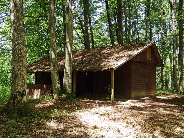 Vadászház a Torhai-forrás mellett