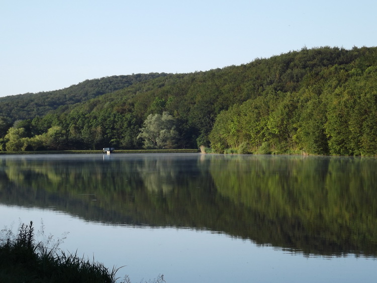 A kora reggeli Kistolmácsi-tó