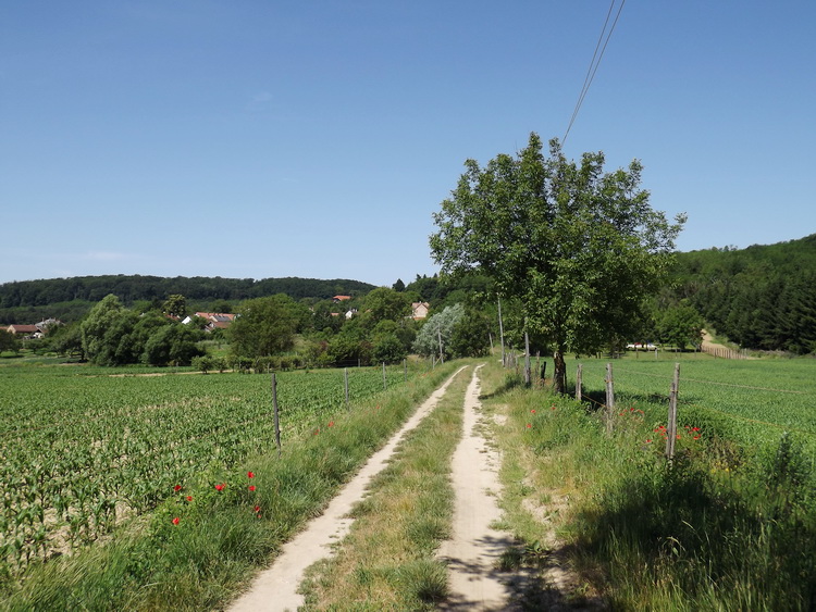 Visszapillantás Valkonyára a mezőkről