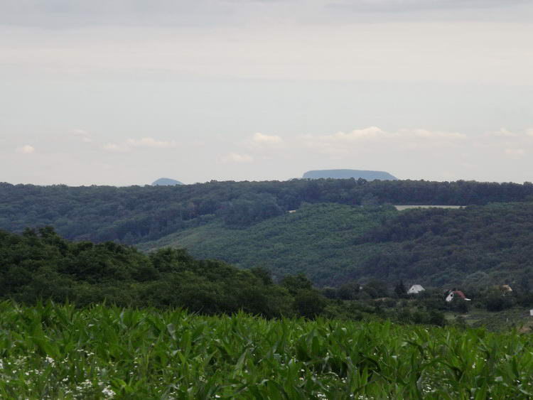 A dombok felett megpillantottam a Badacsonyt és a Gulácsot is