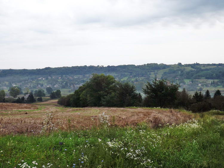 Kilátás a dombokról Zselickisfaludra