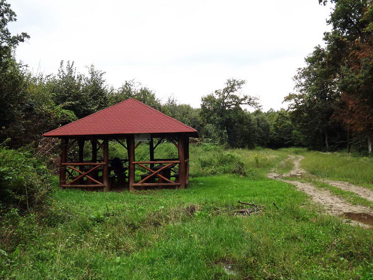 Erdei pihenő Kardosfapuszta előtt Erdei pihenő Kardosfapuszta előtt