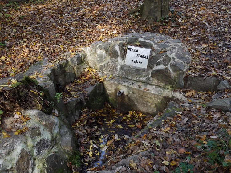 A szépen kiépített Henrik-forrás