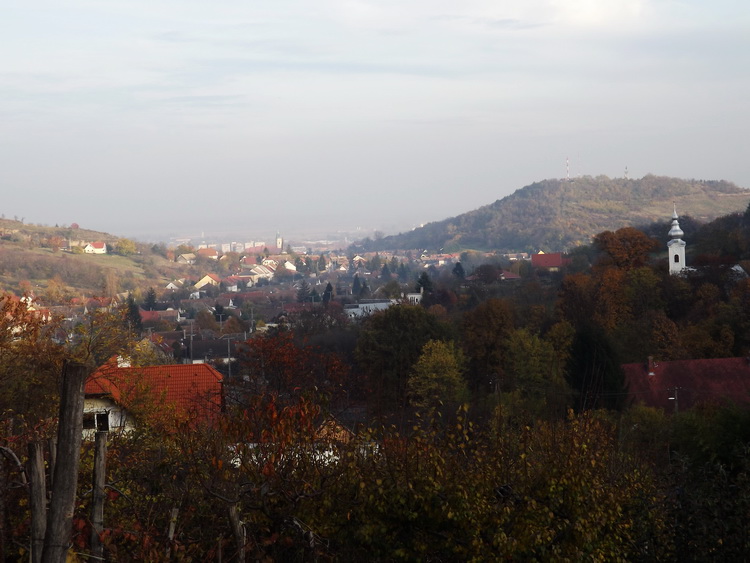 Kilátás Szekszárdra a dombokról