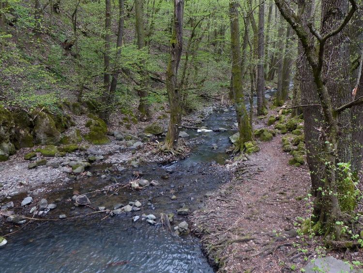 A Bükkös-patak további útja a Dömör-kapu után