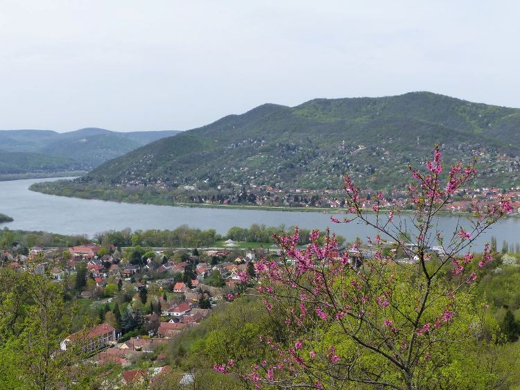 Kilátás a Dunakanyarra a Panoráma út parkolójából