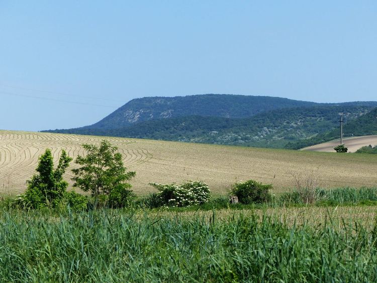 Egy pillanatra feltűnt a dombok között a Nagy-Gete erdős oldala