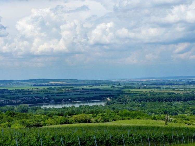 Kilátás a dombok közé kanyargó szerpentinről vissza a Dunára