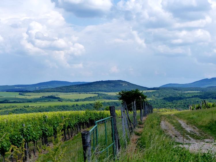 A Gerecse dombtetői között