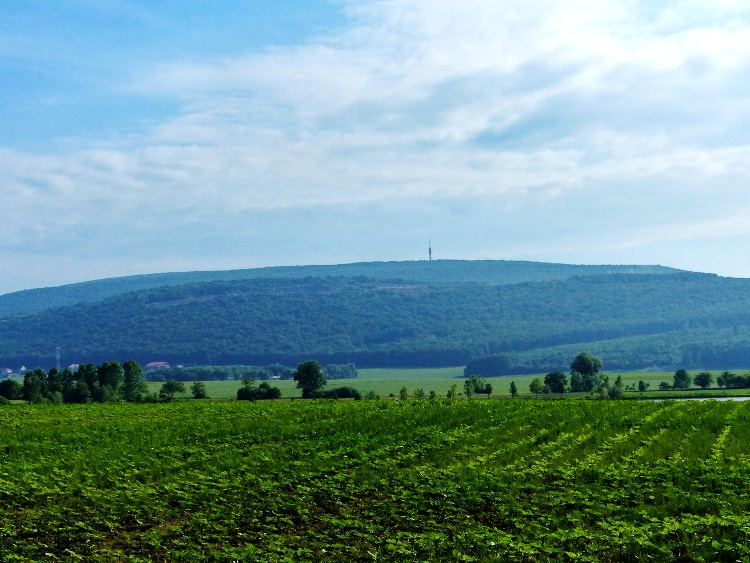Kilátás a Vértestolna melletti mezőkről a Gerecse-hegyre, a tájegység legmagasabb hegyére.