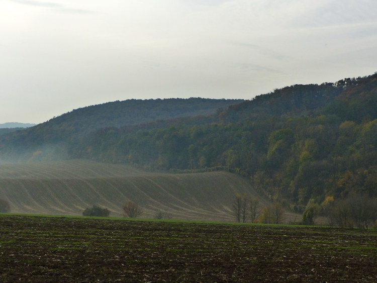 Hullámzó mezők a Somlyó lábánál