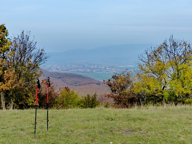 Kilátás a Somlyóról a Tarjáni-medencére és Tarjánra