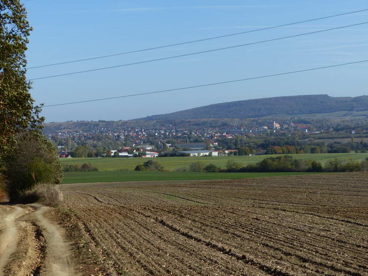 Kilátás a domboldalból vissza Mór felé