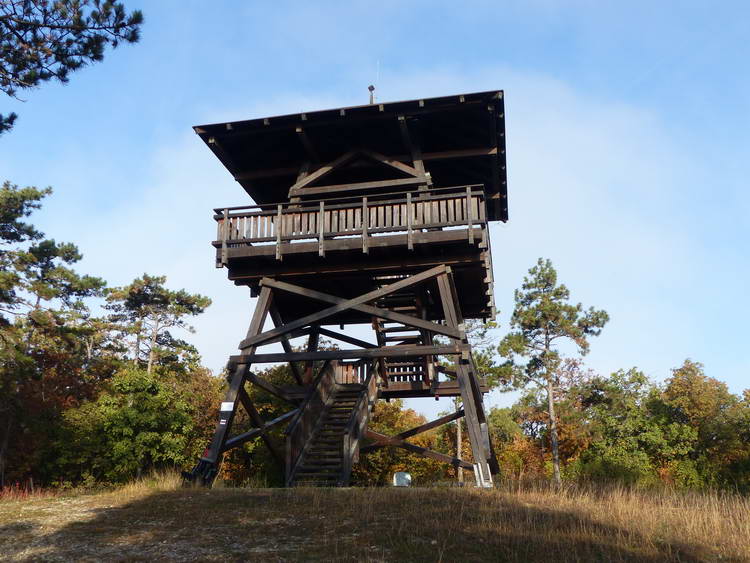 Favázas kilátó áll a Csillag-hegyen