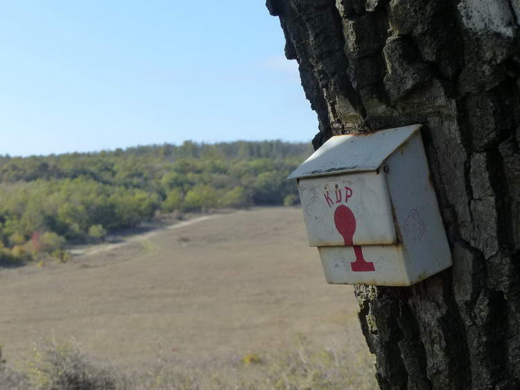 Pecsételőpont a Márkus szekrényén. A távolban a további utam látható.