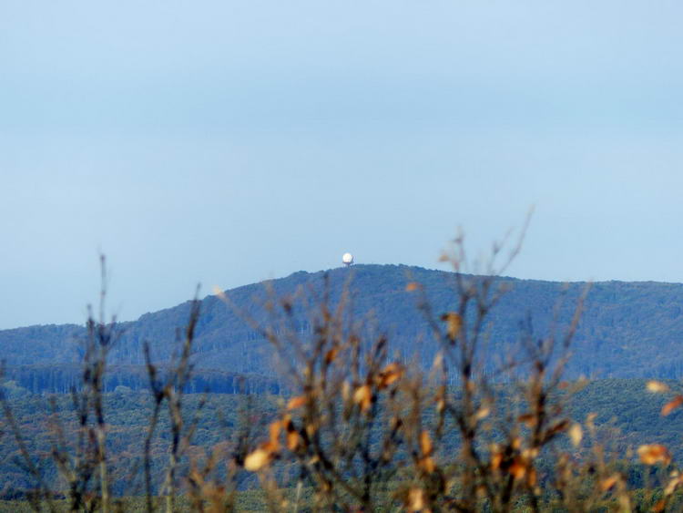 A Kőris-hegy a kilátóból nézve