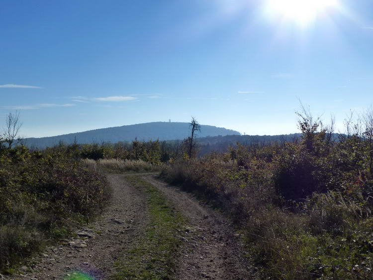 Visszatekintés a Borzás-hegyről a Papodra