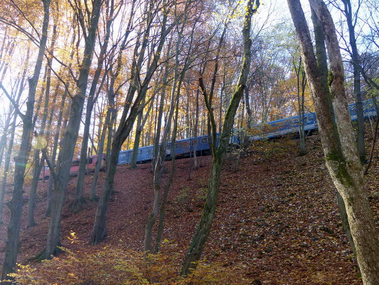 Magasan fenn a hegyoldalban haladnak a vasúti sínek