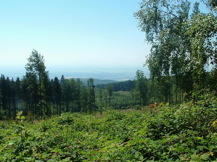 Kilátás az Írott-kő gerincéről a magyar oldal felé