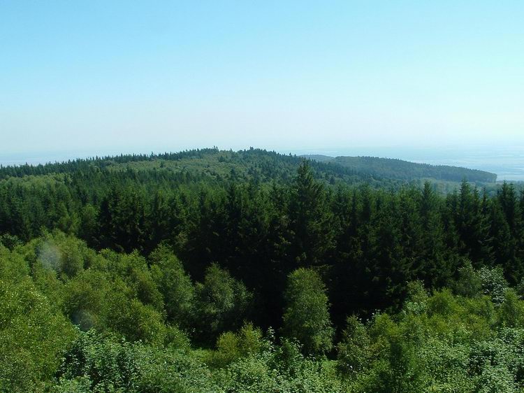 Kilátás a toronyból az Írott-kő gerincére