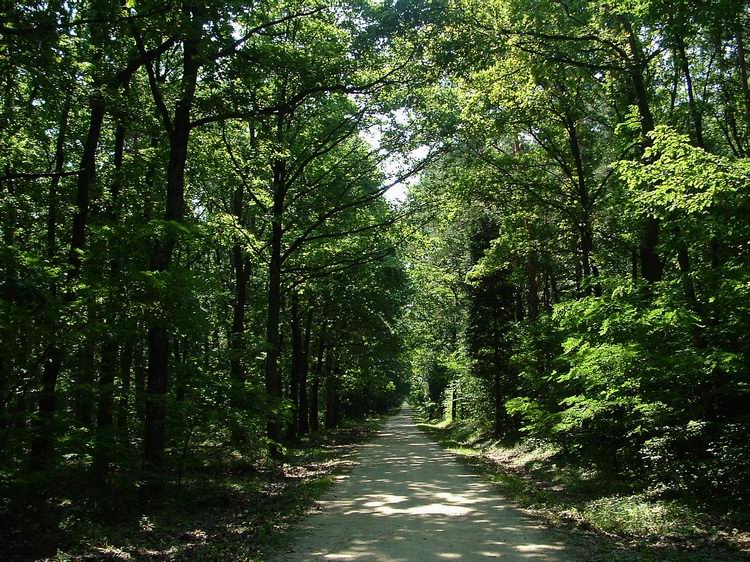 Walk on the straight gravel road