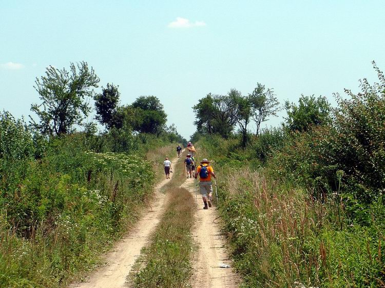 Dirt road across the field after Kincsédpuszta