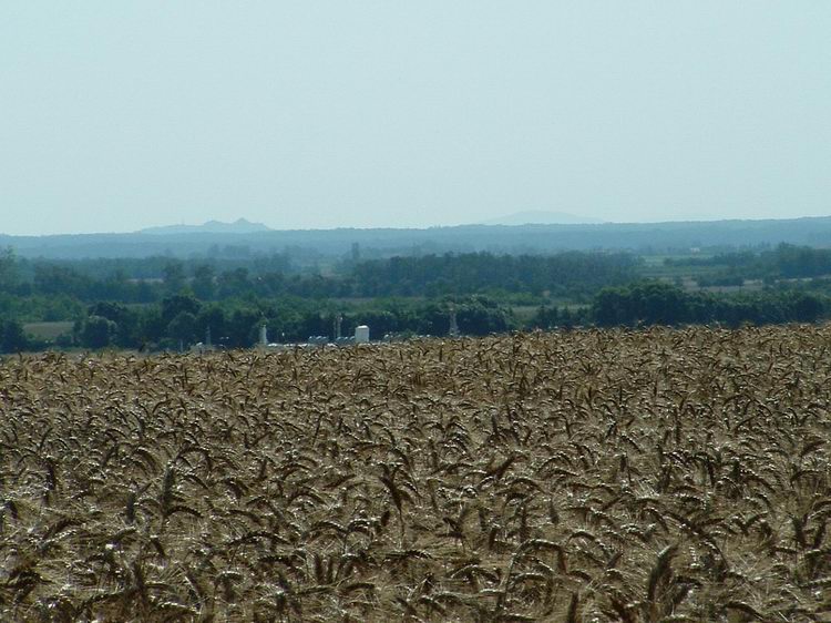 View across the fields towards the far mountains