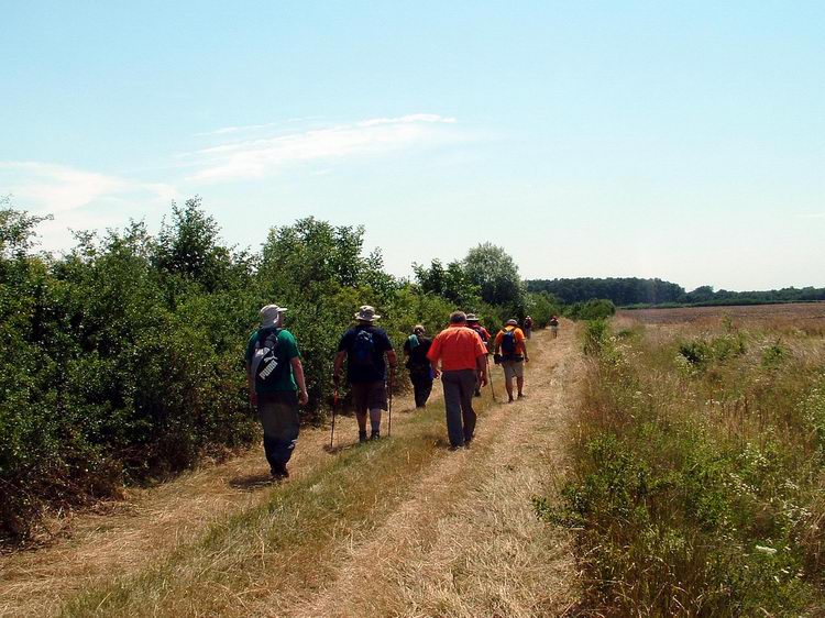 Mezei keréknyomokon Porpác vasútállomás felé