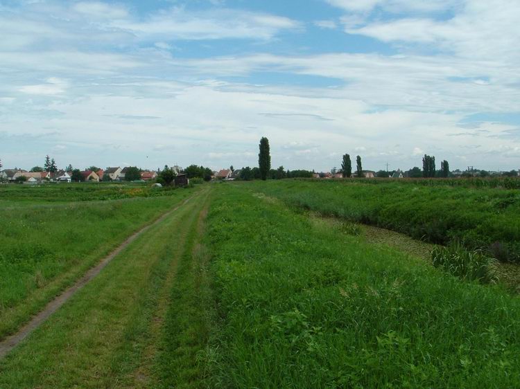 A Gyöngyös-patak gátján halad a kéktúra