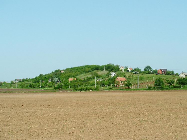 Kilátás a mezőről a Hercseg-hegyre