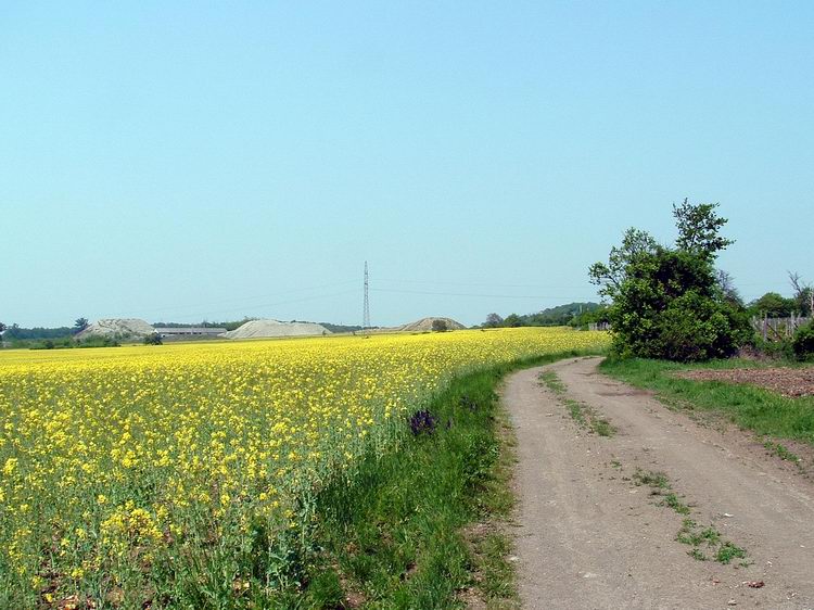 Visszapillantás a mezőről az alginitbánya meddőhányóira