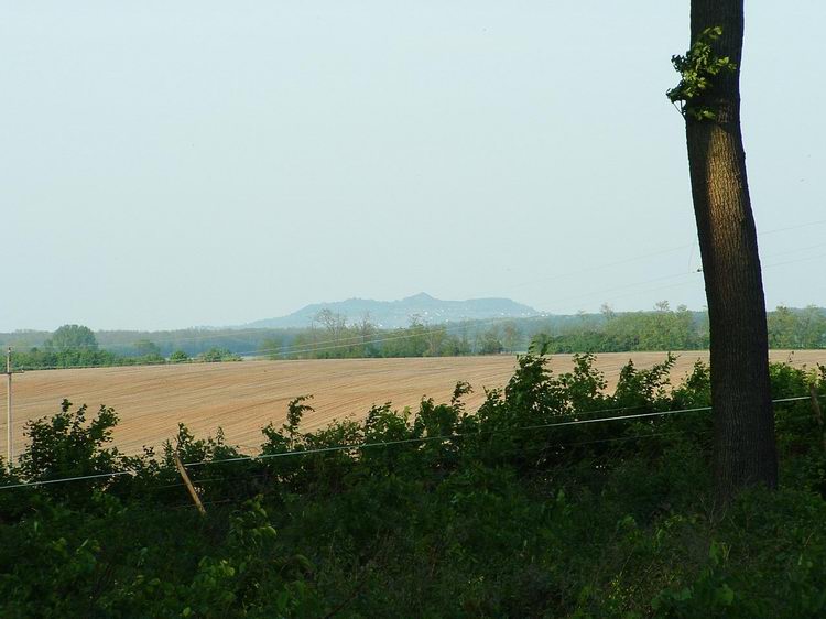 Farkas-erdő - Kilátás a Ság-hegyre a mezőkön keresztül