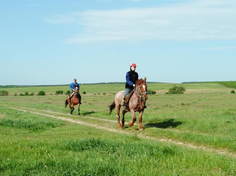 Riders on the fields