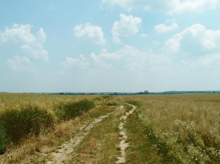 Keréknyomokon a Hosszúpereszteg előtti földeken