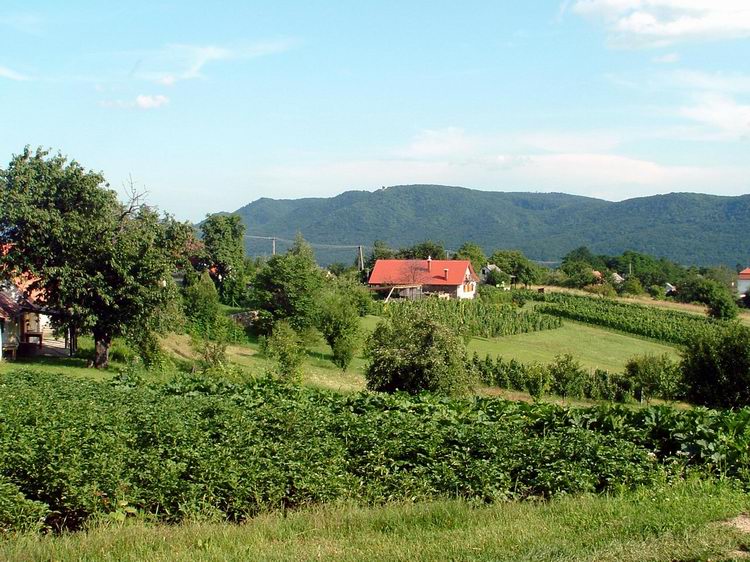 A távoli hegygerincen feltűnik Rezi vára is